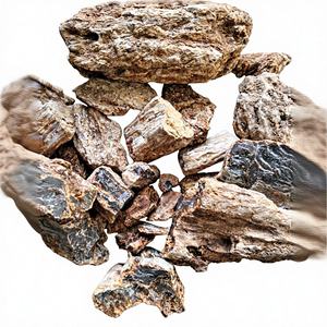 DAMAR BATU (ORIGEN SUMATERA) - Product Image 2