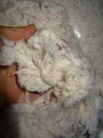CARD FLY BALES (100% Limbah Kapas dari SPINING MILLS).