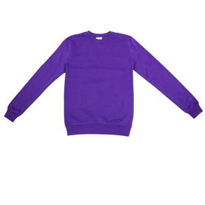 Ensemble sweat-shirt et jogging unisexe d'hiver, écologique, couleur unie, style hip-hop, grande taille, léger, en molleton de coton, tenue assortie - Product Image 1