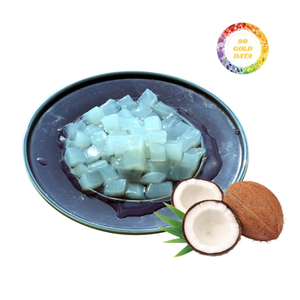 Nata De Coco Natural in Syrup Made in Vietnam for Exporting Importing Good Choice for Delicious Dessert - Product Image 1