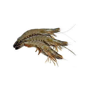 Venta al por mayor de camarones tigre negros congelados PD, mariscos de alta demanda, venta a granel, precios competitivos - Product Image 2