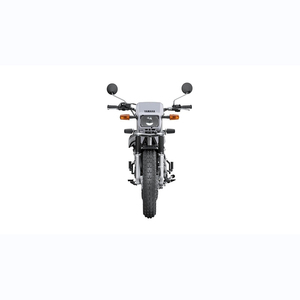 2024 Yamahaa TW 200 - Product Image 2