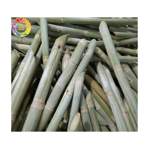 Jugo de caña de azúcar congelado sabor dulce y fresco natural con alta calidad y precio competitivo directo del proveedor de Vietnam - Product Image 1