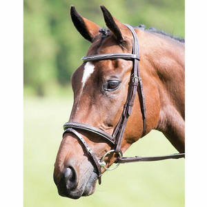 Bridas Flash elevadas acolchadas, venta al por mayor, brida de caballo completa occidental, brida de doma hecha de Material de cuero, sillín completo - Product Image 2