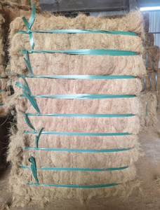 Durable and Versatile Coir <b>Fiber</b> Available in Bulk for International Trade and Industrial Manufacturing - Product Image 4