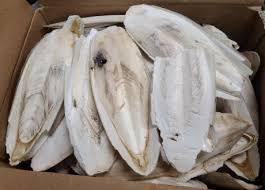 Productos de alta calidad/Cuttlebone para pájaros hechos en Vietnam - Product Image 3