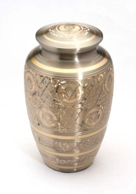 ตามที่แสดง