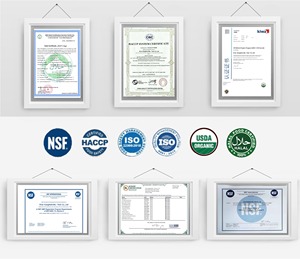 OEM Ham Madde Ganoderma Lucidum <span class=keywords><strong>Cordyceps</strong></span> Spor Tozu Kapsül 1000mg Ganoderma Lucidum Kapsülleri - Product Image 6