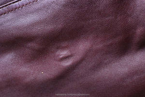 Jupes en cuir d'agneau véritable pour femmes avec technique brodée Taille respirante et naturelle - Product Image 2