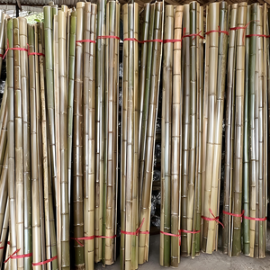 Vietnam Bamboo Poles 8m - Extra Long Natural Cane Sticks Wholesale for Construction <b>Garden</b> <b>Tent</b> and Decoration - FBP1028 - Product Image 6