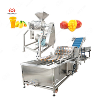 Équipement de production de jus de pulpe de mangue, machine à pulper les fruits à double pression, machine à pulper la pâte de tomate