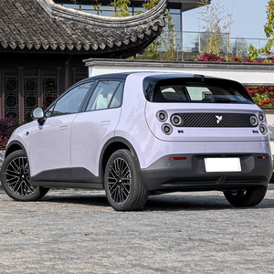 Vehículo Eléctrico Pequeño de 5 Plazas, Edición Abril 2025, Nueva Energía para América del Norte - Product Image 4