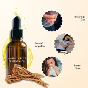 100% Pure Angelica Racine Huile Essentielle Arbre À Thé Ingrédient France Origine Distillation À La Vapeur En Vrac Fabricant AARNAV GLOBAL - Product Image 2