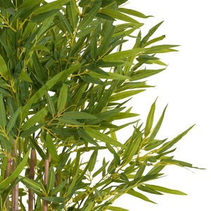 Juego de árboles artificiales de bambú de imitación de 5,8 pies de aspecto intrigante y natural - Product Image 5