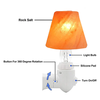 Élégante lampe de nuit enfichable au sel de l'Himalaya, applique murale en cristal de roche fabriquée à la main pour la décoration intérieure