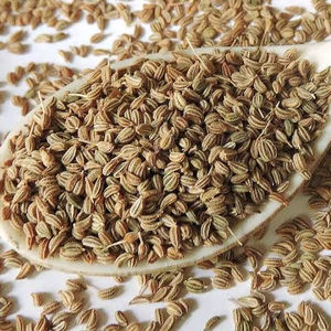 เมล็ด ajwain พรีเมี่ยมร้อยละ100ธรรมชาติและบริสุทธิ์นำเสนอที่อุดมไปด้วยรสชาติและกลิ่นหอมที่เหมาะสำหรับการส่งออกที่มีคุณภาพและการใช้ทำอาหาร - Product Image 1