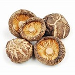 Offre Spéciale de champignons frais congelés à vendre à des prix raisonnables - Product Image 1