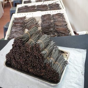 Top Grade Madagascar Origin Dried Vanilla <b>Beans</b> Wholesale Supply Cheap Price Bulk Sales For Sale - Product Image 1
