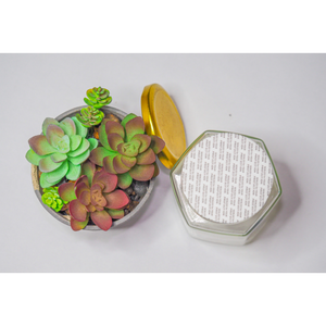 แผ่นซับจุกขวดแบบไม่รั่วไวต่อแรงกดเกรดอาหารแบบมีกาวในตัวสีขาว - Product Image 1