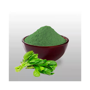 Poudre d'épinards naturelle disponible en vrac pour l'exportation vers les entreprises d'aliments santé et de suppléments - Product Image 3
