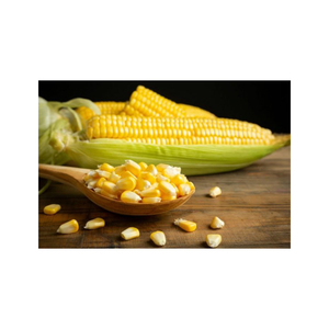 Maíz amarillo sin OGM más vendido/Maíz amarillo y maíz blanco/Maíz amarillo secado al aire a la venta - Product Image 6