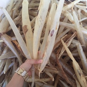 100% Gueule de poisson d'anguille séchée naturelle de qualité supérieure | Fruits de mer de qualité supérieure de fournisseur vietnamien - Product Image 1