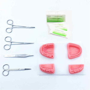 Kit de Práctica Dental PISSCO, Kit de Práctica para Estudiantes de Odontología, Kit de Simulación Dental, Kit de Aprendizaje Dental, Kit de Educación Dental - Product Image 1