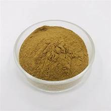 POLVO DE HOJA DE PERILLA A BASE DE PLANTAS PARA ALIMENTOS FUNCIONALES SOPORTE DE DETOX SOLUCIÓN DE ETIQUETA LIMPIA DE INMUNE - Product Image 3