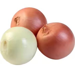 Oignons jaunes rouges frais en vrac de haute qualité 5-8 cm pelés Offre Spéciale bon prix ISO9001 GLOBAL GAP HACCP certifié exportation mondiale - Product Image 5