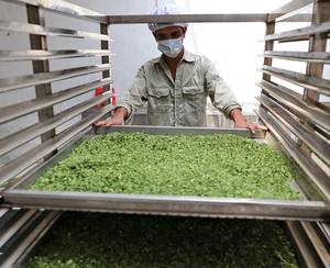 100% feuilles de Moringa séchées pures et d'origine naturelle pour la nutrition à partir d'extraits du Vietnam - Product Image 4