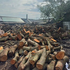 Charbon de bois BIWOOD KHAYA PREMIUM, sans odeur, combustion propre, bois dur vietnamien, qualité frêne blanc - Product Image 1