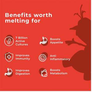 Bandes orales probiotiques pour enfants pour la santé digestive et l'immunité avec des souches sûres adaptées aux enfants - Product Image 4