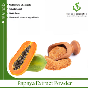 Qualité supérieure extrait de papaye 100% pur et naturel de la plus haute qualité au prix du marché authentique - Product Image 2