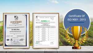 Énorme vente d'excellente qualité de feuilles de vigne congelées en vrac de qualité supérieure à un prix de marché raisonnable auprès d'un fournisseur d'origine égyptienne - Product Image 4