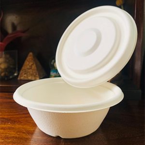 Service de table jetable robuste pour les fêtes, vaisselle biodégradable en bagasse de canne à sucre pour le service de nourriture et les couverts pour les événements - Product Image 4