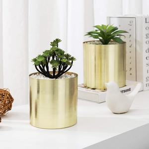 Maceta Moderna y Sencilla de Color Dorado Mate para Plantas de Interior, Decoración Elegante para el Hogar y Diseño Minimalista, Venta al por Mayor desde India - Product Image 6