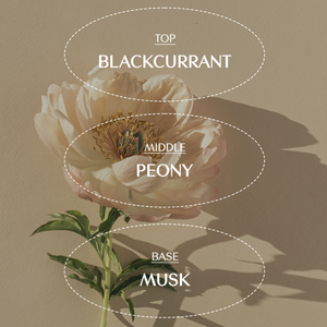 TREECELL Delight Eleven 50ml Lotion crème pour les mains aux vitamines C et à l'acide hyaluronique coréenne OEM Lotion hydratante nourrissante et hydratante - Product Image 3