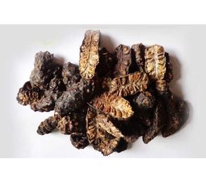 Fournisseurs de fruits Noni séchés de qualité supérieure fabriqués au Vietnam avec la meilleure offre Fruits Noni Morinda citrifolia séchés 100% épices aux herbes naturelles - Product Image 6