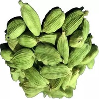 Approvisionnement en cardamome vert 100% naturel de qualité supérieure fabriqué en usine, cardamome vert frais de meilleure qualité
