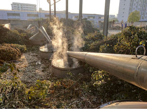 Aceite de Argán Orgánico Puro Extraído de Plantas, Prensado en Frío, Grado Premium, para Hidratar el Cabello, Repararlo, Darle un Aspecto Saludable, Suave y Largo - Product Image 3