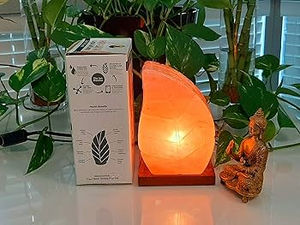 Lampe élégante au sel rose de l'Himalaya avec sculpture de feuilles unique Base en bois fabriquée à la main pour la décoration de la maison sur le thème de l'amour Artisanat naturel - Product Image 3