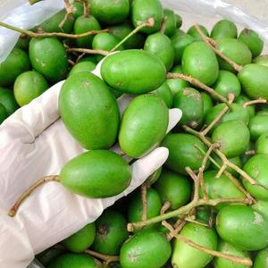 Ambarella Fruit: calidad y asequibilidad - Product Image 1