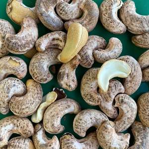 A180เม็ดมะม่วงหิมพานต์ W320 W240จากโรงงานซันติโกเวียดนาม - Product Image 1