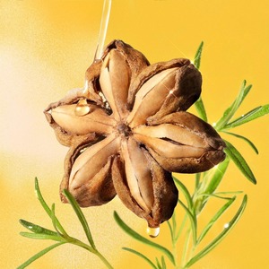 100% NUECES SACHA INCHI NATURALES/ENVASADO AL POR MAYOR/LISTO PARA USAR EN ALIMENTOS Y MEZCLAS FUNCIONALES - Product Image 1