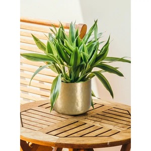 Maceta galvanizada única con acabado moderno, perfecta para macetas de interior, balcón, patio y elegantes esquinas de jardín - Product Image 4