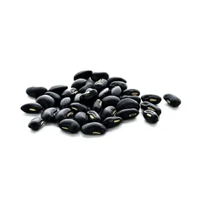 厂家价格高品质红色斑点芸豆出售厂家直接批发红芸豆长形深黑色K
