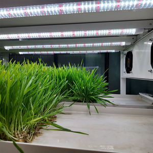 Système de culture hydroponique vertical multi-niveaux pour fourrage, plateau de germination, support de culture d'orge à vendre - Product Image 4