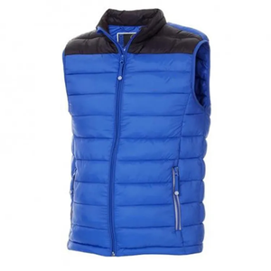 Gilet pour homme tendance de haute qualité, brillant, facile à porter, épais, en toile d'hiver, bomber à col montant, brillant, matelassé pour adultes - Product Image 1