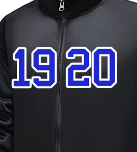 Zeta Phi Beta Sorority 1920 bleu Royal blanc femmes polaire à capuche et pantalons de survêtement brodé survêtement ensemble vêtements grecs tenue - Product Image 2