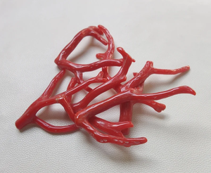 CORAL .. 54 Cts 100% Piedra preciosa de coral italiano natural Rama suelta Pulido AA + Calidad Palo DE CORAL ROJO Piedra preciosa lisa - Product Image 1